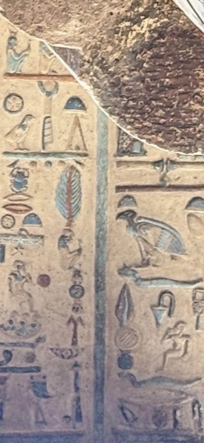 A close-up of a ceiling register with a large bird figure among columns of small hieroglyphs on a pale ground with touches of blue and red, and a dark rough stone surface at the upper corner.