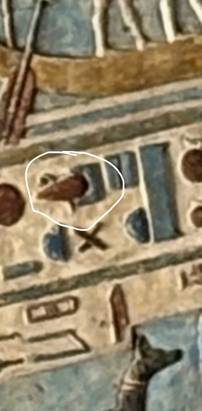 A close-up of painted relief with a hand-drawn white circle around a red-brown drop-like form beside blue shapes, with a dog or jackal-headed figure at the lower edge.