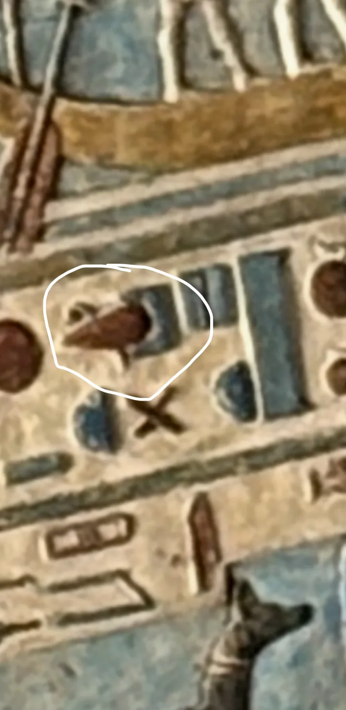 A close-up of painted relief with a hand-drawn white circle around a drop-like form with a conspicuous red-brown fill, beside blue shapes, with a dog or jackal-headed figure at the lower edge.